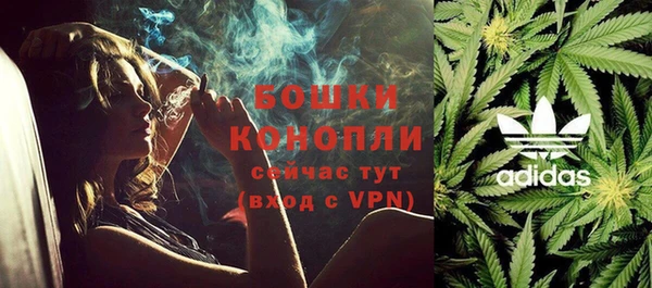 Альфа ПВП Магадан