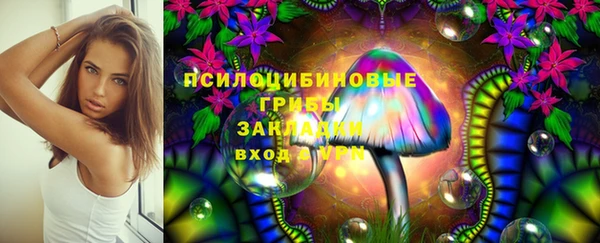 Альфа ПВП Магадан