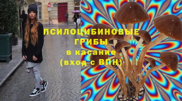 Альфа ПВП Магадан
